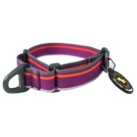 OllyDog Martingale Mesa, Limited Cinch Slide-On Martingale Collar for Dogs with Reflective Webbing, No Buckle (Small, Wild Aster)