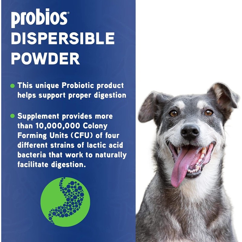 Probios Probios Dispersable Powder - Probios Powder, Pet Probiotic, Probiotics