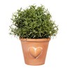 Sass & Belle Large Terracotta Planter with Heart