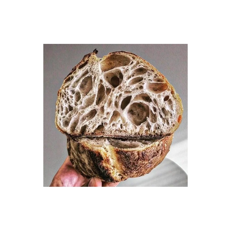 Levadura Instantanea, Le 5 Stagioni, Levadura Seca, 500g