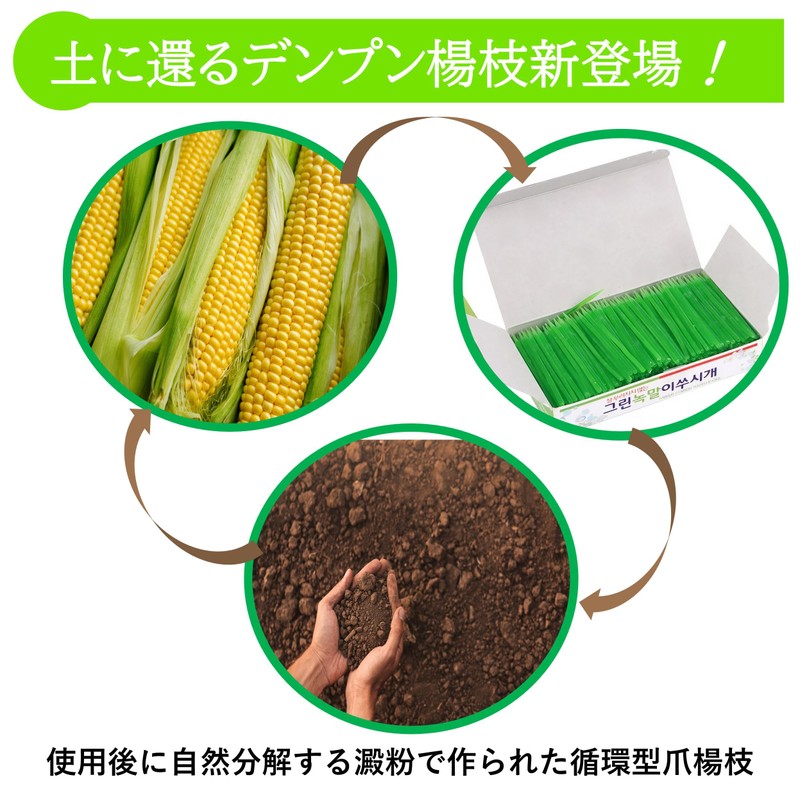 Rita Shokai Korean Toothpicks (Green) Approximately 500 Bottles Unscented Starch