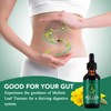Mullein Leaf Liquid Drops for Lungs, 60ml Mullein Leaf Drops