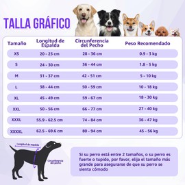 HomeChi Traje de Recuperación de Cirugía para Perros, Camisa de Recuperación Profesional para Perras, Traje de Esterilización para Heridas Abdominales en Perros, Prevención de Lamidos, M, Morado