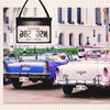 License Plate Holder with Hanging Strap - Durable Test Drive