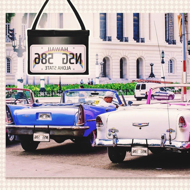 License Plate Holder with Hanging Strap - Durable Test Drive