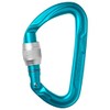 Edelrid Pure Screw 3 (Color: Ice Mint) Mountaineering Climbing Carabiner