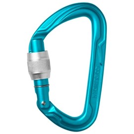 Edelrid Pure Screw 3 (Color: Ice Mint) Mountaineering Climbing Carabiner Screw Lock