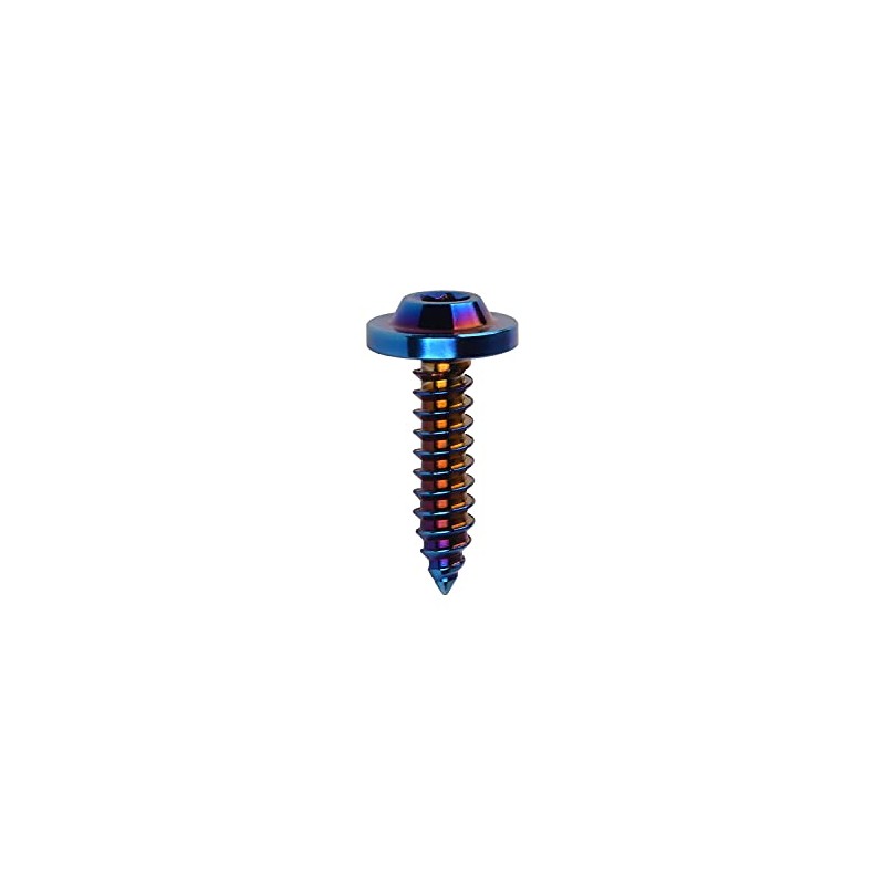 Wanyifa Titanium M4 M5 15 17 20mm Self Tapping Screw