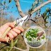 Chumia 6 Pcs Garden Flower Shears Pruning Scissors Heavy Duty