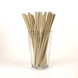 Blowholes Standard Size Eco-Friendly, Compostable, Long-lasting Paper Straws 440 Count - Kraft