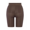 Triumph Tummy Support Shaper 575 Long Girdle, 00BJ (Brown)