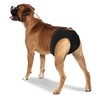 CROCI Hygenic Knickers Doggy Pants, Size 30