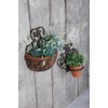 Esschert Design USA BPH51 Half Round Cast Iron Wall Planter