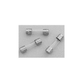 Cartridge Fuses GMA 2.5A FUSE (1 piece)
