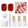 GAOY 3 Pcs Gel Nail Polish Kit with Mini UV