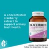 Blackmores Cranberry Forte 50000mg 90 Capsules