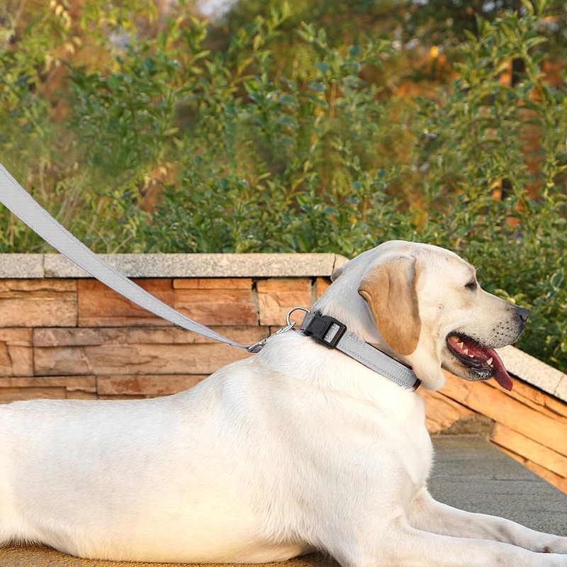 PenSeepet Dog Leash 6 FT Padded Handle Nylon Reflective Dogs