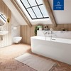 Villeroy & Boch Universal Showers Shower Head with 3 Jet