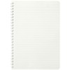 Maruman N479-33 Cocochi Ring Notebook, A5, Light Green, Set of