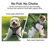 Petmolico No Pull Dog Harness Set with Leash Attachment Easy