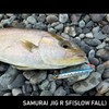 Daiwa Samurai Jig R SF Lure, 0.7 oz (20 g),