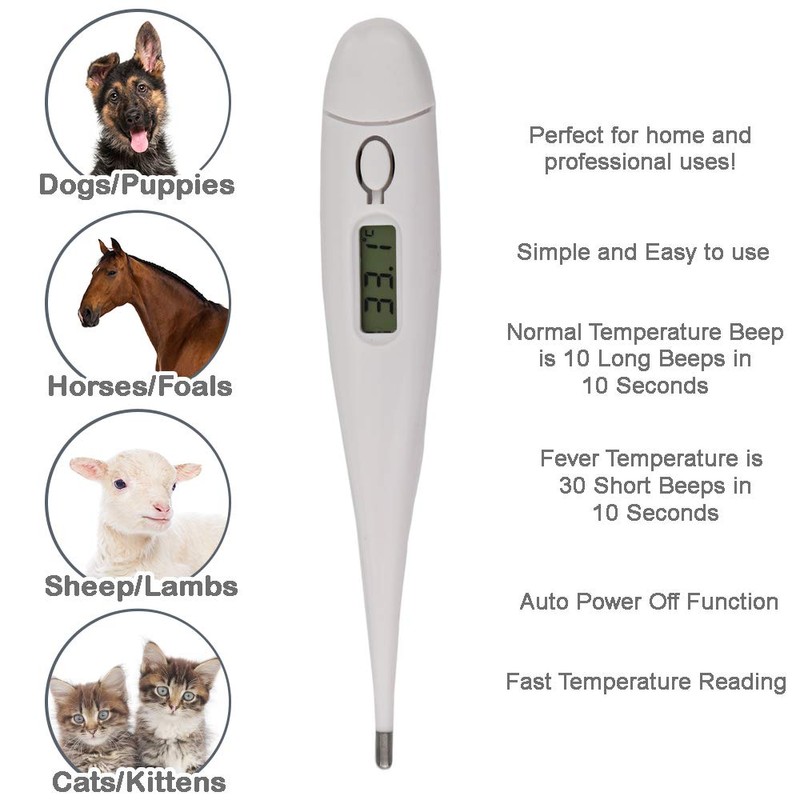 Pet Thermometer For Animal Owners of Dogs Cats Horses Vets