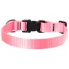 LupinePet Basics 1" Pink 12-20" Adjustable Collar for Medium and
