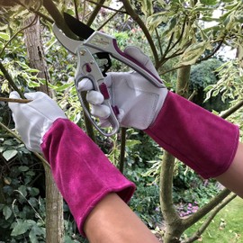 Leather Gardening Gloves for Women One Pair - Thorn Proof Goatskin Leather & Long Sleeve Cowhide for added protection - Ladies Gauntlet Gloves Ideal for all Garden Tasks (Weeding to Pruning). (Medium)