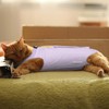 Voarge Recovery Suit Cat, Cat Bodysuit After Surgery, Anti-Leaking, Prevent