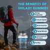 Elikadur 84,000 MG Shilajit Gummies, Organic Gummies 60 Count (Pack
