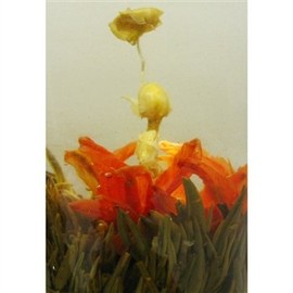 Fairy Lily Blooming TeaFairy Lily Blooming Tea, Beautiful combination of Green tea and Blooming lily flower – 6 Pcs Per Bag