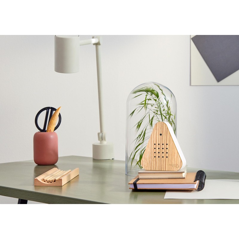 RELAXOUND Original Lakesidebox Oak - Modern Nature Sound Box -