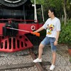 Rechargeable Livestock Prod Waterproof Cattle Prod for Cow, Dog Safety