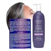 Shampoo Pure Silver Matizado Canas Anti Amarillo 1ltr Loquay