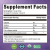 Jns-believe Polvo Colágeno Marino 454 G Natural