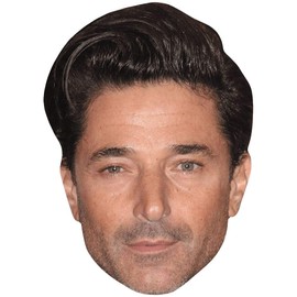Jake Canuso (Stubble) Celebrity Mask, Flat Card Face, Fancy Dress Mask