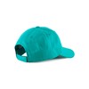 Champion Unisex Icons Baseball Cap Closure, Green (GS130), Unit size