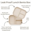 Ali+Oli Leak Proof Bento Box (Coconut) Food-Grade Silicone Bento Box,