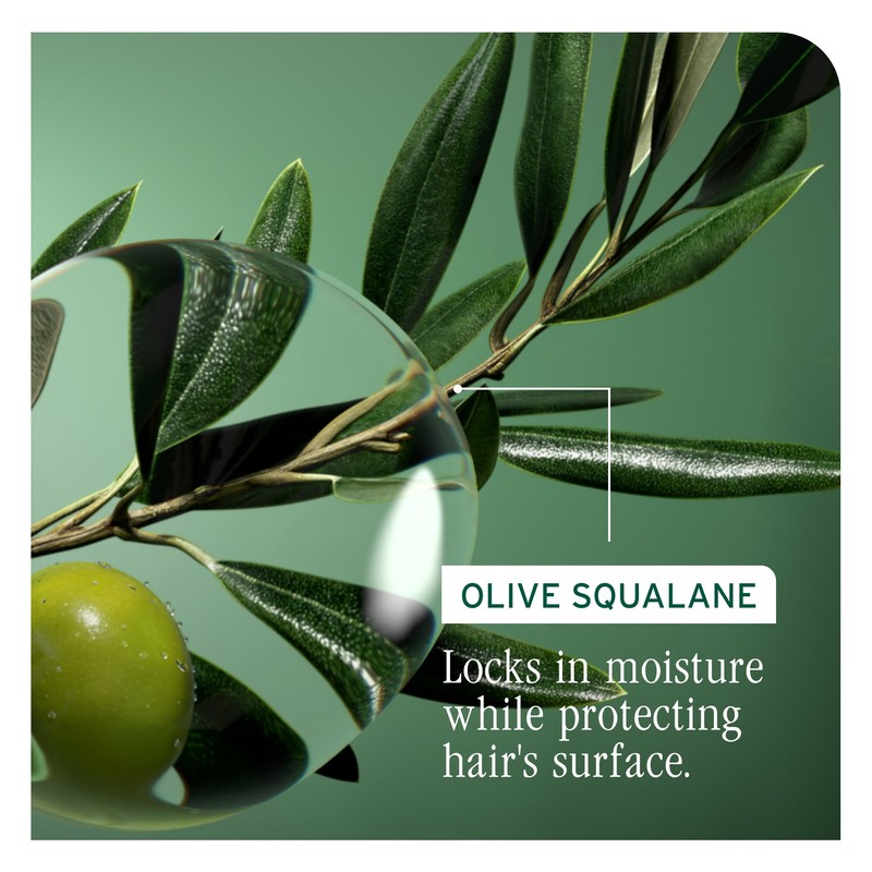 Biolage Hydrasource Shampoo 400ml