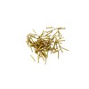 Modelcraft Brass Pins, Pack of 100, Gold