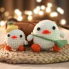Crochet Kit for Beginners: Ducks Crochet Kit for Adults, Learn