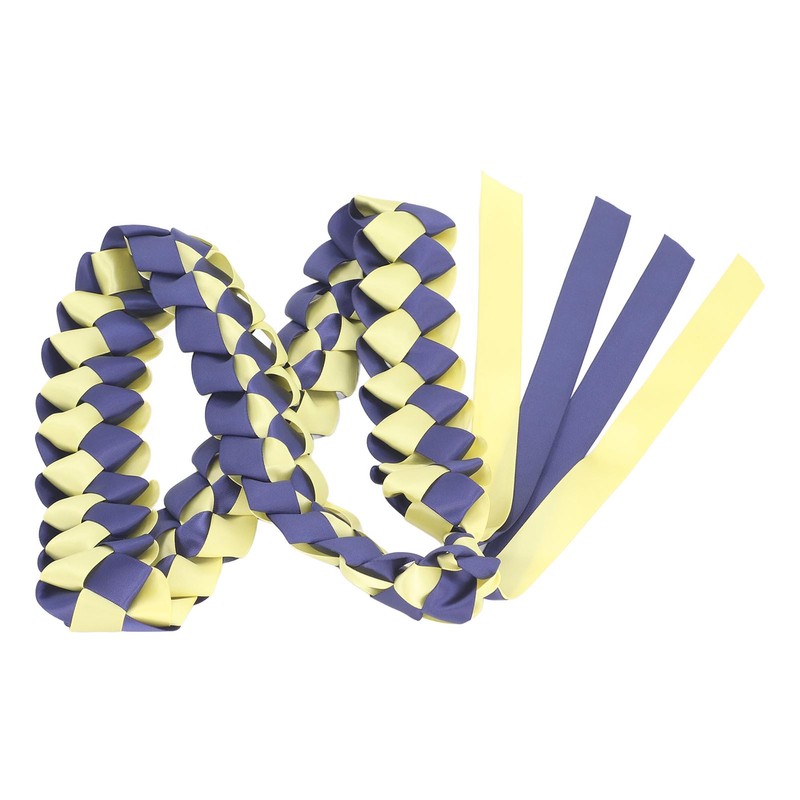 2Pcs Ribbon Leis Double Braided Necklace Graduation Congrats Accessory for