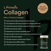 L Primero Collagen Peptides Powder 400g, Hydrolysed Unflavoured, Grass-Fed Bovine