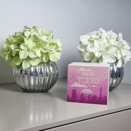 Wooden Money Box with Beautiful Motif and Text – Trip to Tokyo in Pink Wooden Money Box for the Next City Trip to Tokyo as a Gift for People Who Like and Much Around