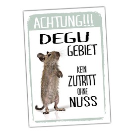 Achtung Degu Kein Zutritt Sign Funny with Saying Door Sign Warning Sign Fun Metal Sign