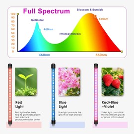 Plants Grow Lights, 2 Heads Red Blue Full Spectrum LED Plant Lamp with Clip for Indoor Plants, Auto ON & Off Timer 3/9/12H, 10-Level Dimmable