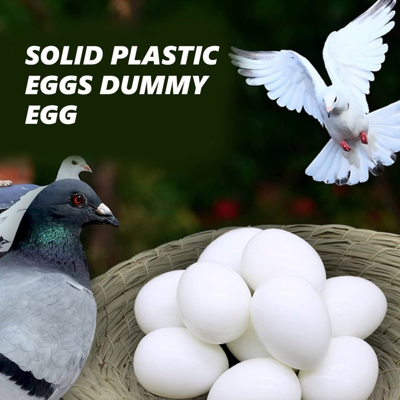 Cikonielf 50 Pieces Pigeon Eggs Solid Plastic Eggs Dummy Eggs