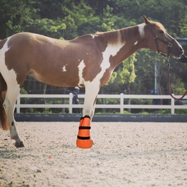 Horse Soaking Boot Hoof Soaking Boot Equine Soaking Boot Easy Use Soak Treatment Bag Hooves Care Soaker Boot