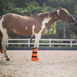 Horse Soaking Boot Hoof Soaking Boot Equine Soaking Boot Easy Use Soak Treatment Bag Hooves Care Soaker Boot