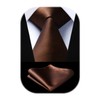 HISDERN TL-03S Plain Shiny Necktie Square Set, Men's, Formal Business,